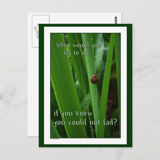 小さなカタツムリもしの「失敗できない」はがき ポストカード (正面/裏面)