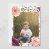 小さなカボチャフローラ秋紫の桃の写真 (裏面)