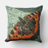 小さなカメの蝶 アウトドアクッション (正面)