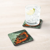 小さなカメの蝶 コースター (右側)