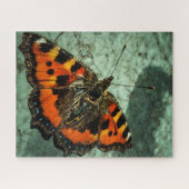 小さなカメの蝶 ジグソーパズル (横)
