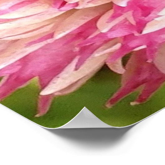 小さなカメの蝶 ポスター (角)