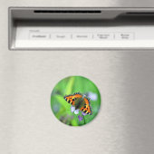 小さなカメの蝶 マグネット (インサイチュ (食洗機))