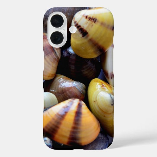 小さなカラフル貝 Case-Mate iPhoneケース (裏面)