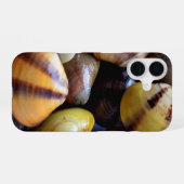 小さなカラフル貝 iPhone 16ケース (裏面横)