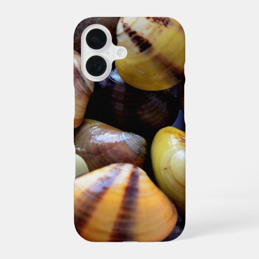 小さなカラフル貝 iPhone 16ケース (裏面)