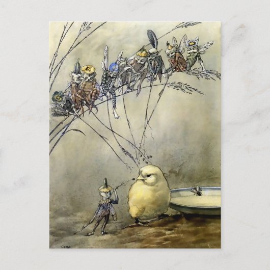 『小さなガの悩み』(ちいさなガのなやみ)アー・ダンカン・カーセ ポストカード (正面)
