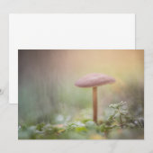 小さなキノコの写真カード (正面/裏面)