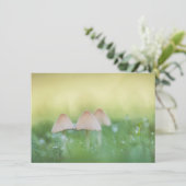 小さなキノコの自然フォトカード (スタンド正面)