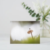 小さなキノコの自然写真はがき ポストカード (スタンド正面)