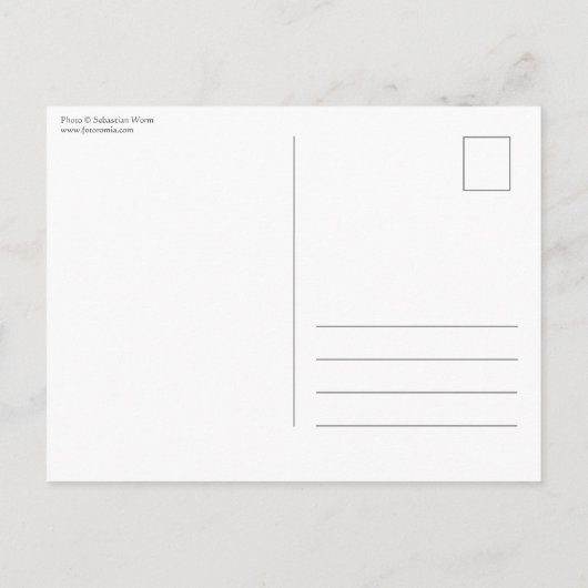 小さなキノコの自然写真はがき ポストカード (裏面)