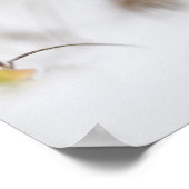 小さなキノコの自然写真ポスター ポスター (角)