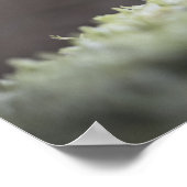 小さなキノコの自然写真ポスター ポスター (角)