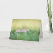 小さなキノコの自然写真 カード (正面)