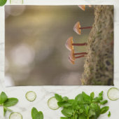 小さなキノコの自然写真 キッチンタオル (折り畳み)