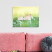 小さなキノコの自然写真 キャンバスプリント (インサイチュ (リビング))