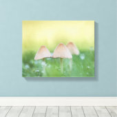 小さなキノコの自然写真 キャンバスプリント (インサイチュ (ウッドフロア))