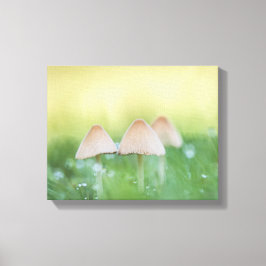 小さなキノコの自然写真 キャンバスプリント