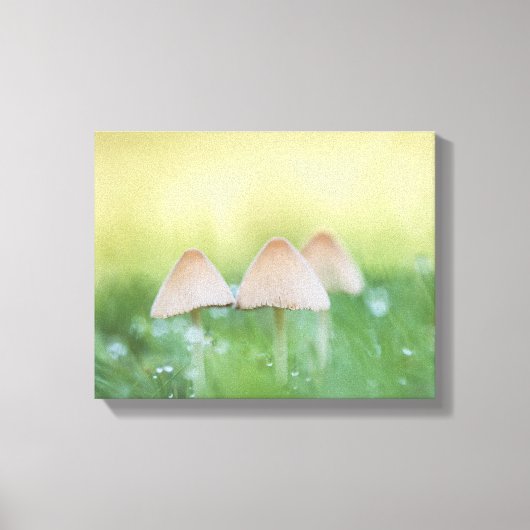 小さなキノコの自然写真 キャンバスプリント (正面)