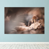 小さなキノコの自然写真 キャンバスプリント (インサイチュ (ウッドフロア))