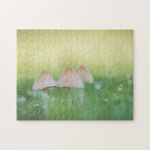 小さなキノコの自然写真