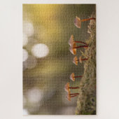 小さなキノコの自然写真 ジグソーパズル (縦)