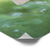 小さなキノコの自然写真 ポスター (角)