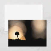 小さなキノコ自然フォトカード (正面/裏面)