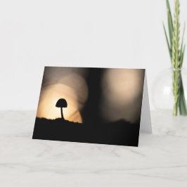 小さなキノコ自然写真 カード