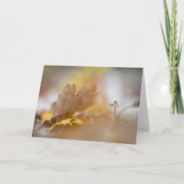 小さなキノコ自然写真 カード