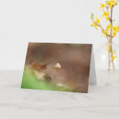 小さなキノコ自然写真 カード (黄色い花)