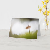 小さなキノコ自然写真 カード (黄色い花)