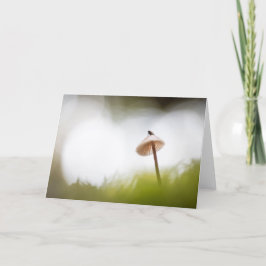 小さなキノコ自然写真 カード