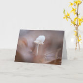 小さなキノコ自然写真 カード (黄色い花)