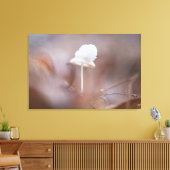 小さなキノコ自然写真 キャンバスプリント (インサイチュ (リビング))