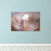 小さなキノコ自然写真 キャンバスプリント (インサイチュ (ウッドフロア))