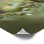 小さなキノコ自然写真 ポスター (角)