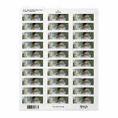 小さなキリギリスの白いツツジの花のアドレス ラベル (フルシート)