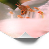 小さなキリギリスの白いツツツジの花8 x 8 フォトプリント (角)