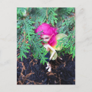 小さなクマのブレスケン、アジアのボール接合人形 ポストカード