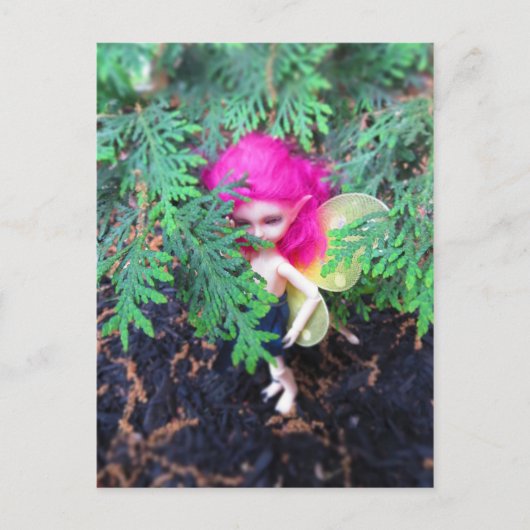 小さなクマのブレスケン、アジアのボール接合人形 ポストカード (正面)