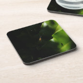 小さなクモのコースター コースター (左側)