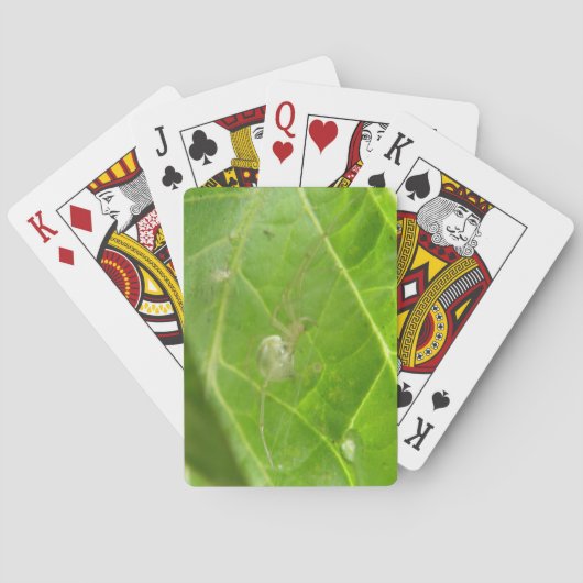 小さなクモのトランプ トランプ (裏面)