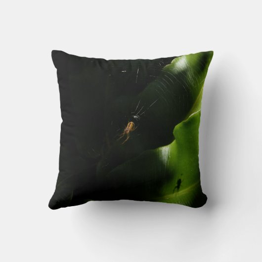 小さなクモの枕 クッション (裏面)