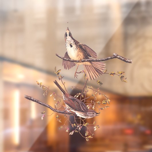 小さなクモを持つオードボンソングスパロー ウィンドウサイン (シート2)