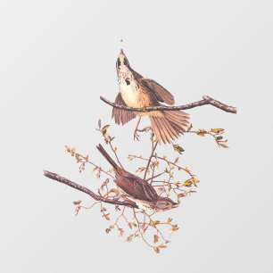 小さなクモを持つ長いスズメのオードボン ウィンドウサイン