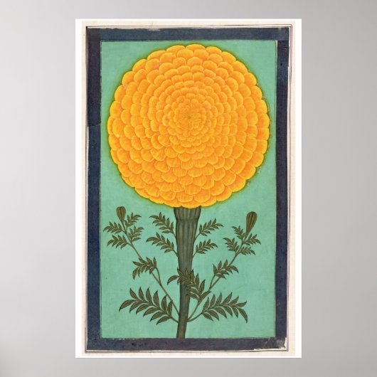 小さなクリーブアルバム | Aマリゴールド ポスター (正面)