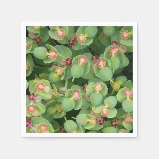 小さなグリーンフローラ スタンダードカクテルナプキン (正面)