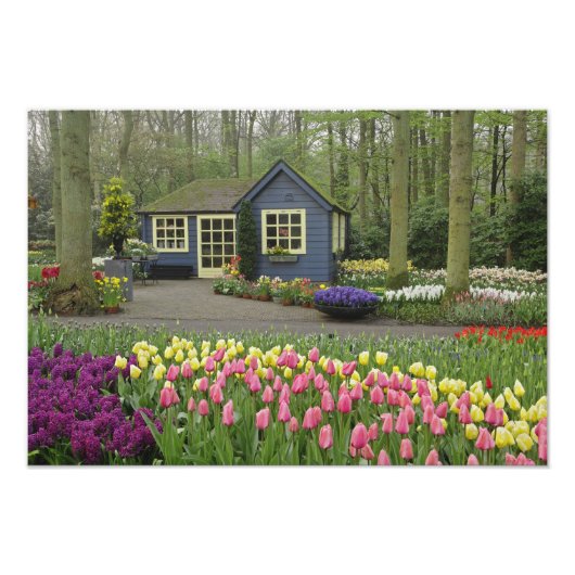 小さなコテージの花屋、オランダのキュケンホフ庭園 フォトプリント            (正面)