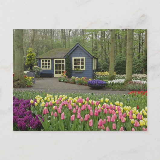 小さなコテージの花屋、キュッケンホフ庭園、 ポストカード (正面)